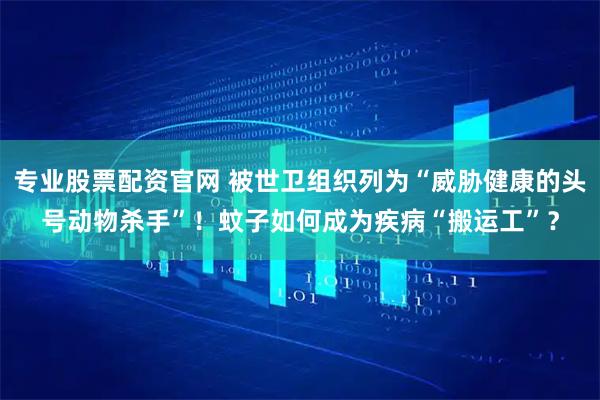 专业股票配资官网 被世卫组织列为“威胁健康的头号动物杀手”！蚊子如何成为疾病“搬运工”？