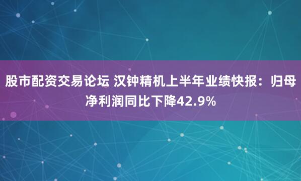 股市配资交易论坛 汉钟精机上半年业绩快报：归母净利润同比下降42.9%