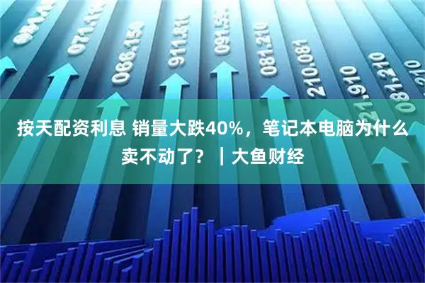 按天配资利息 销量大跌40%，笔记本电脑为什么卖不动了？｜大鱼财经